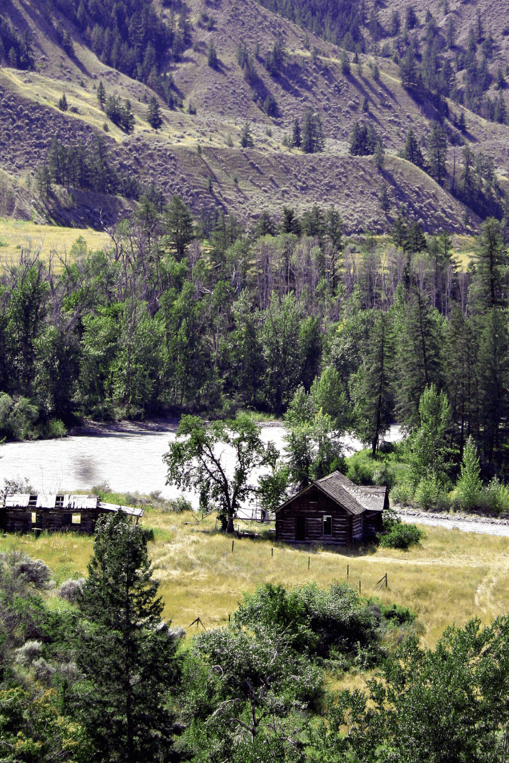 How to start a homestead