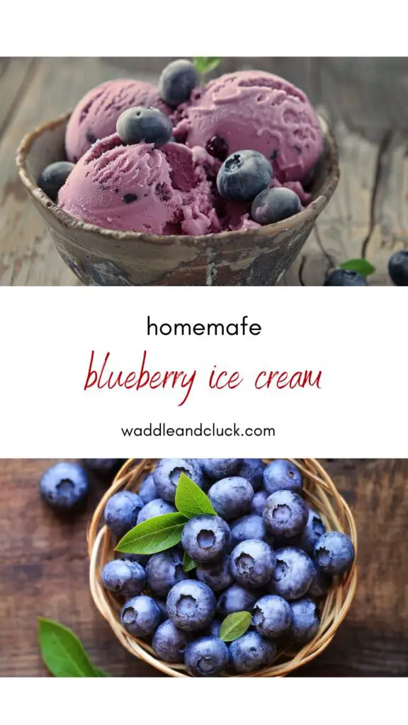 Blueberry ice cream