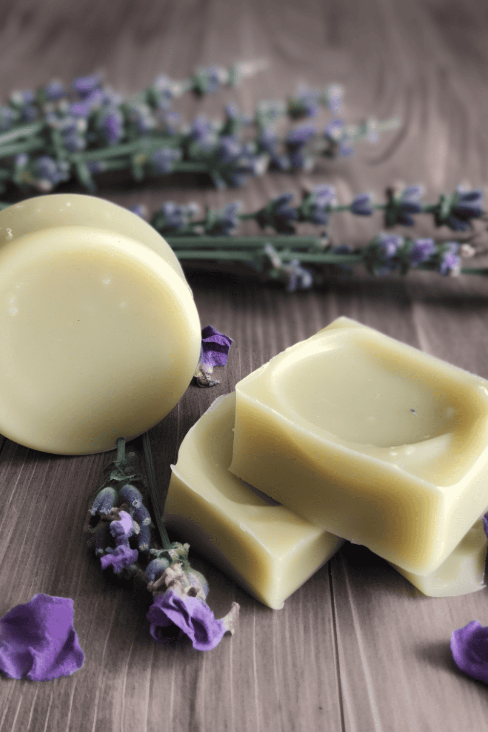 Aloe vera and lavender lotion bar, after sun lotion bar, aloe vera lotion, lavender lotion diy after-sun lotion bars