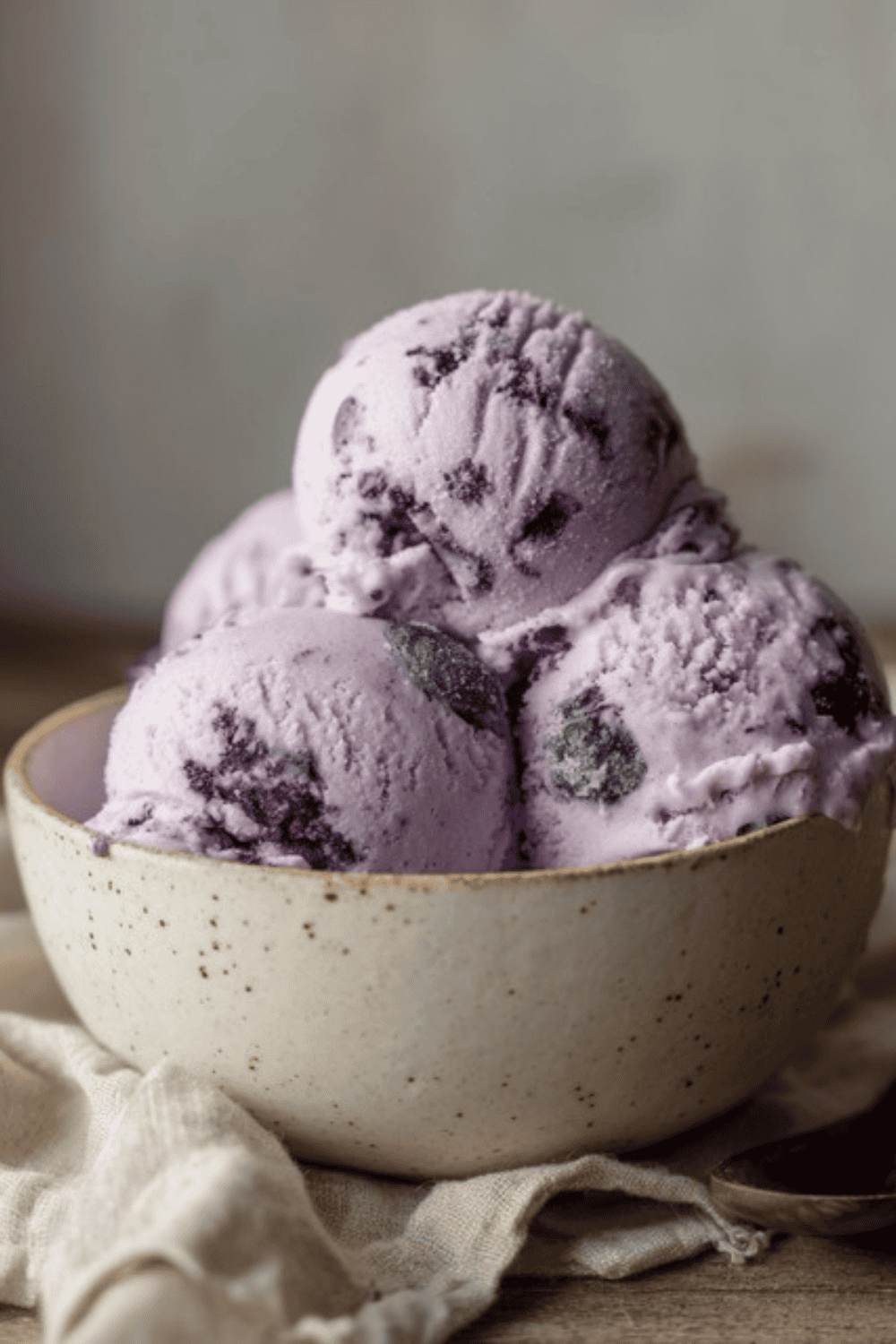 Blueberry ice cream