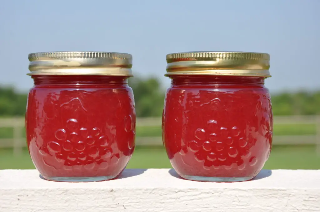 Sand Plum Jam Recipe 10 Sand plum jam