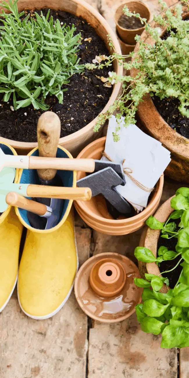 Herb gardening tools