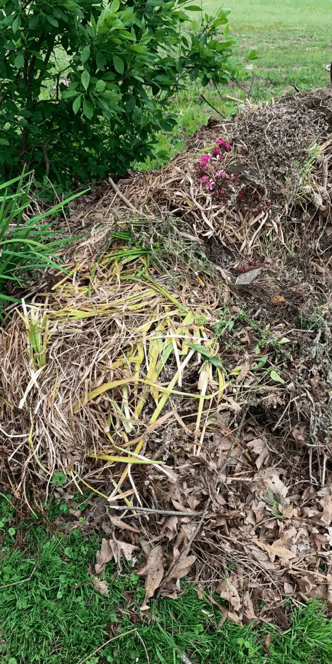 Turning leaves into compost