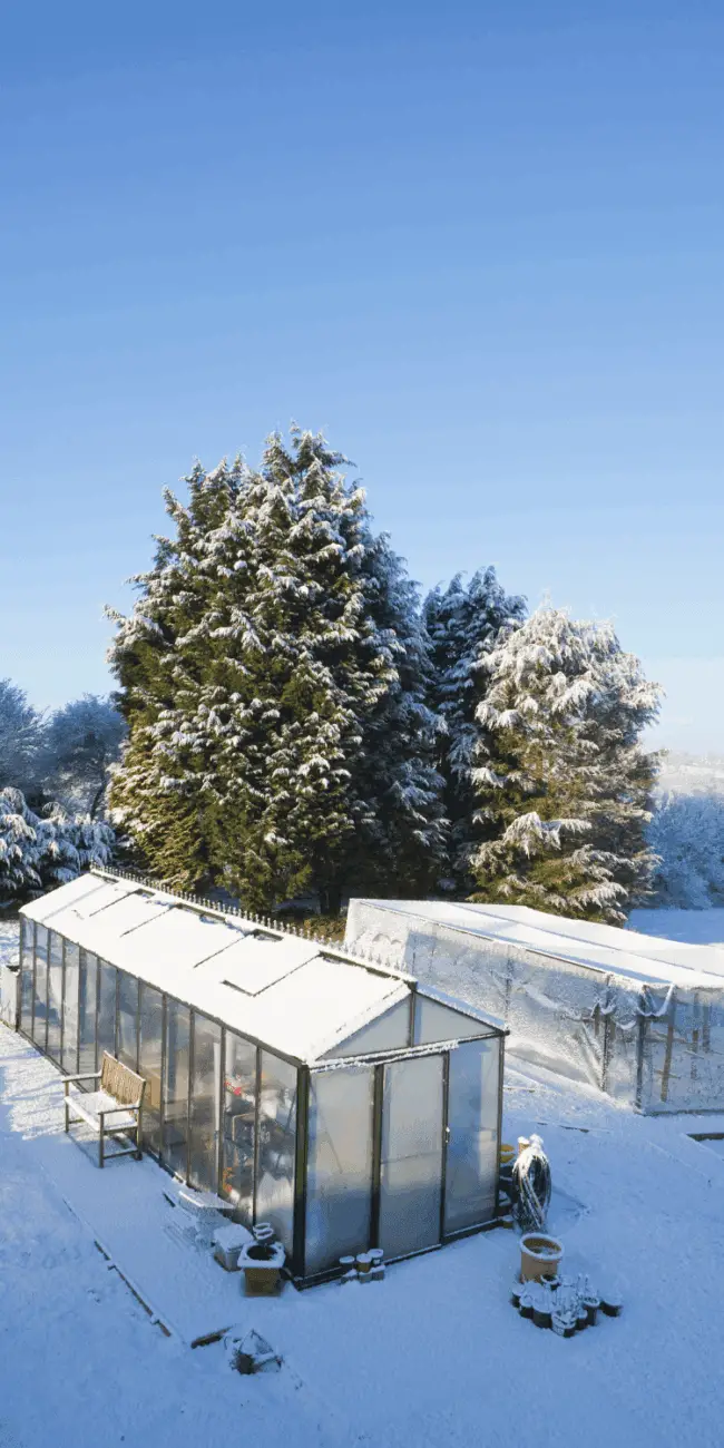 Winter greenhouse