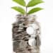 Budgeting for Your Homestead: Tips and Strategies for Financial Success 17 budgeting for your homestead
