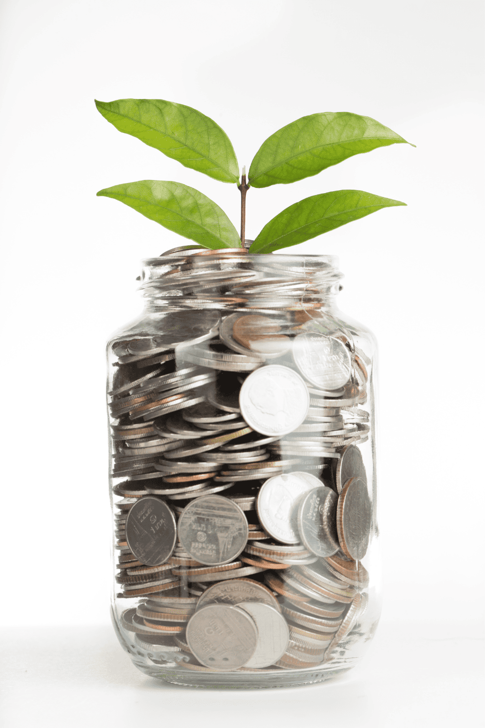 Budgeting for your homestead