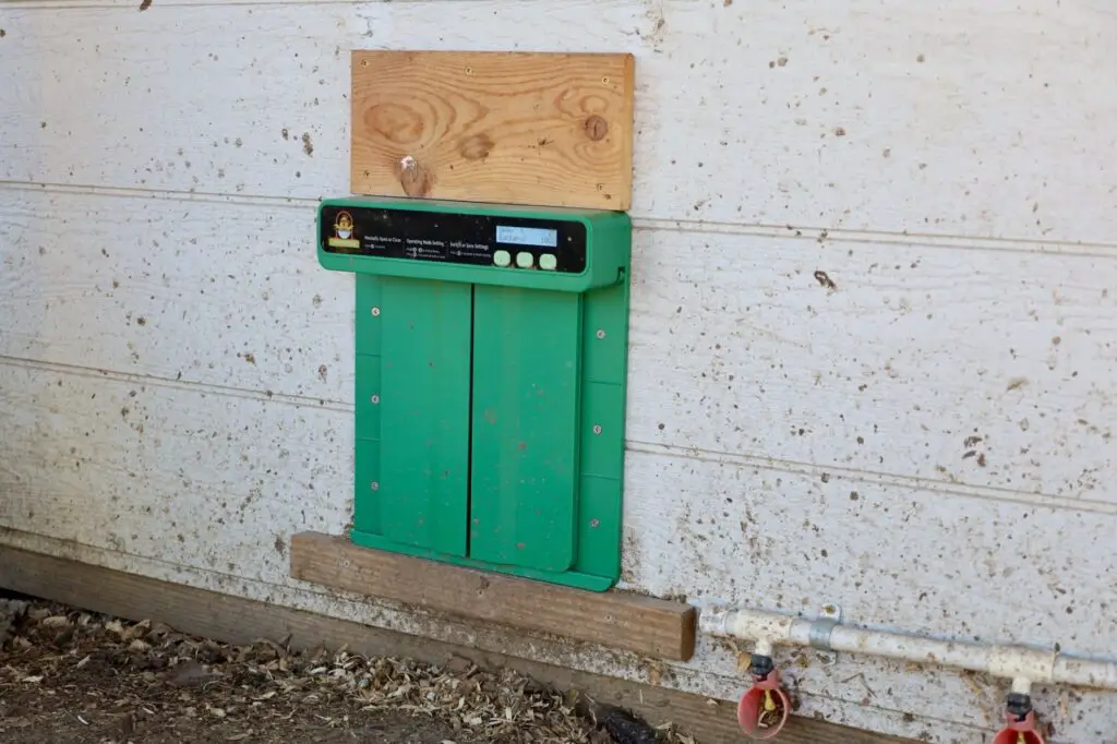 Coop Automation Done Right: Reviewing The Chickcozy Chicken Door 3 Chickcozy automatic chicken door