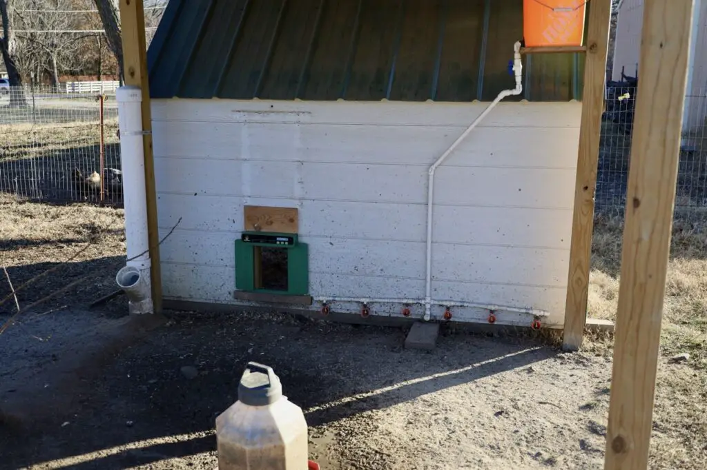 Coop Automation Done Right: Reviewing The Chickcozy Chicken Door 1 Chickcozy automatic chicken door
