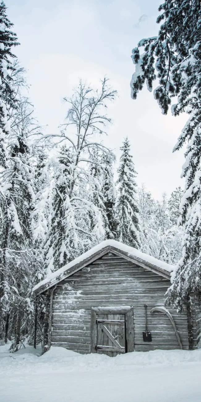 Cabin fever