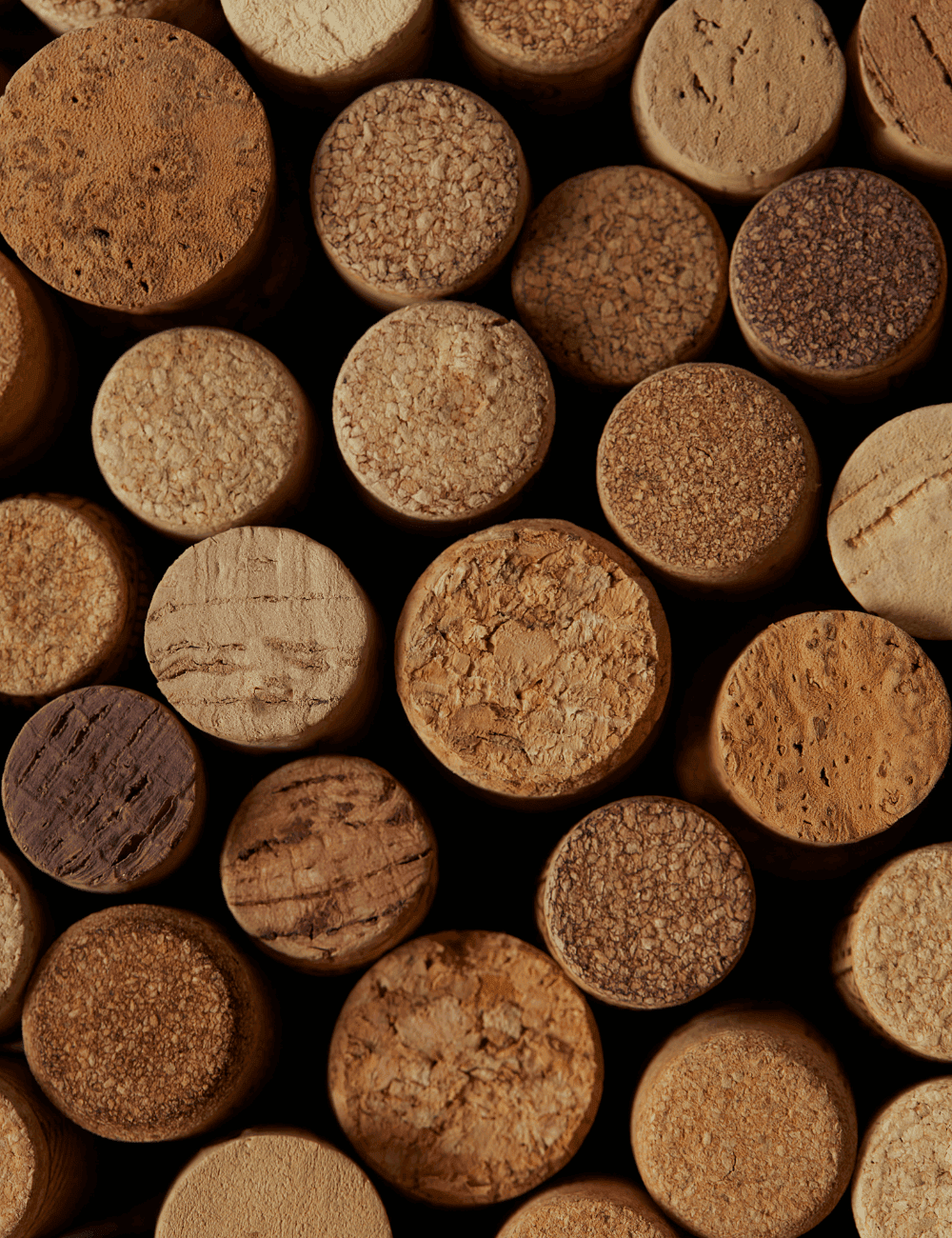 Cork stoppers