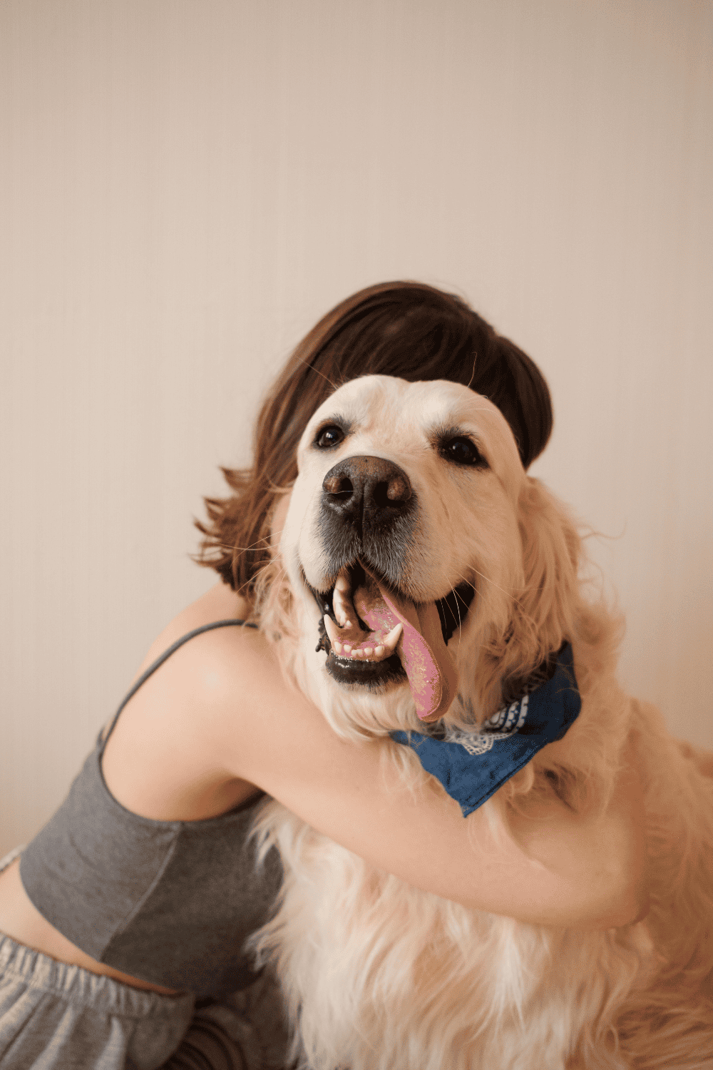 Cope with the death of a pet