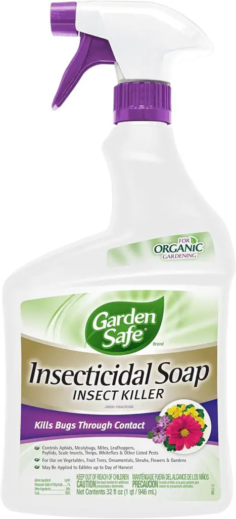 Eco-Friendly Pest Control Solutions For Your Garden 3 71tzs qbysl. Ac sx679
