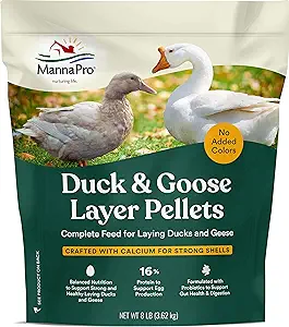 Can You Raise Geese in Your Backyard? 7 81eDVPmvSzL. AC SX300 SY300 QL70 FMwebp