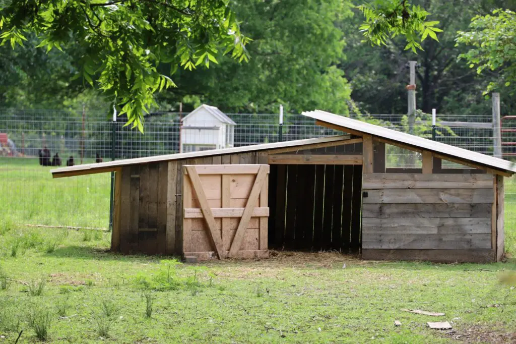 Can You Raise Geese in Your Backyard? 6 Duck shelter duck house goose shelter goose house geese shelter geese house