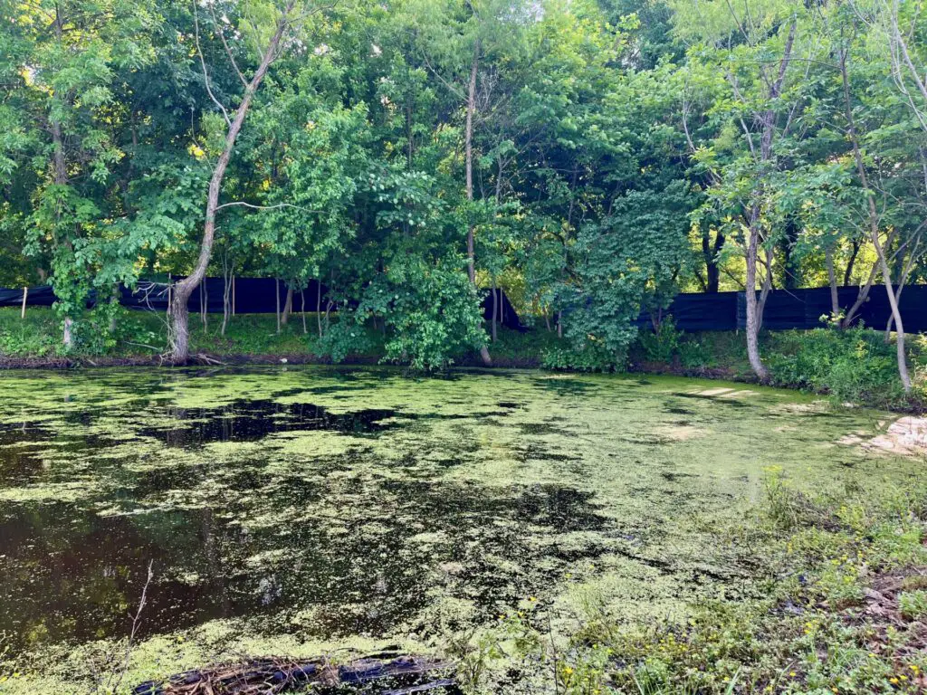 Integrating wildlife habitats in your homestead