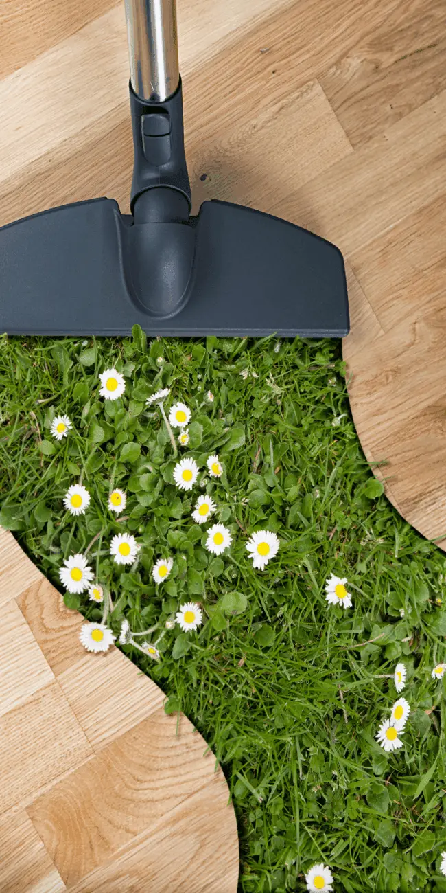Spring cleaning