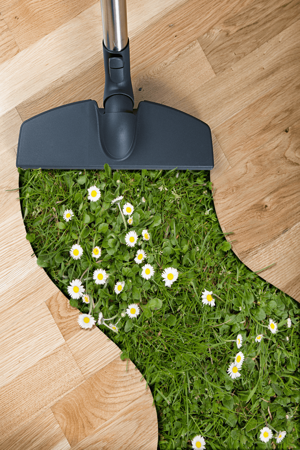 Spring cleaning