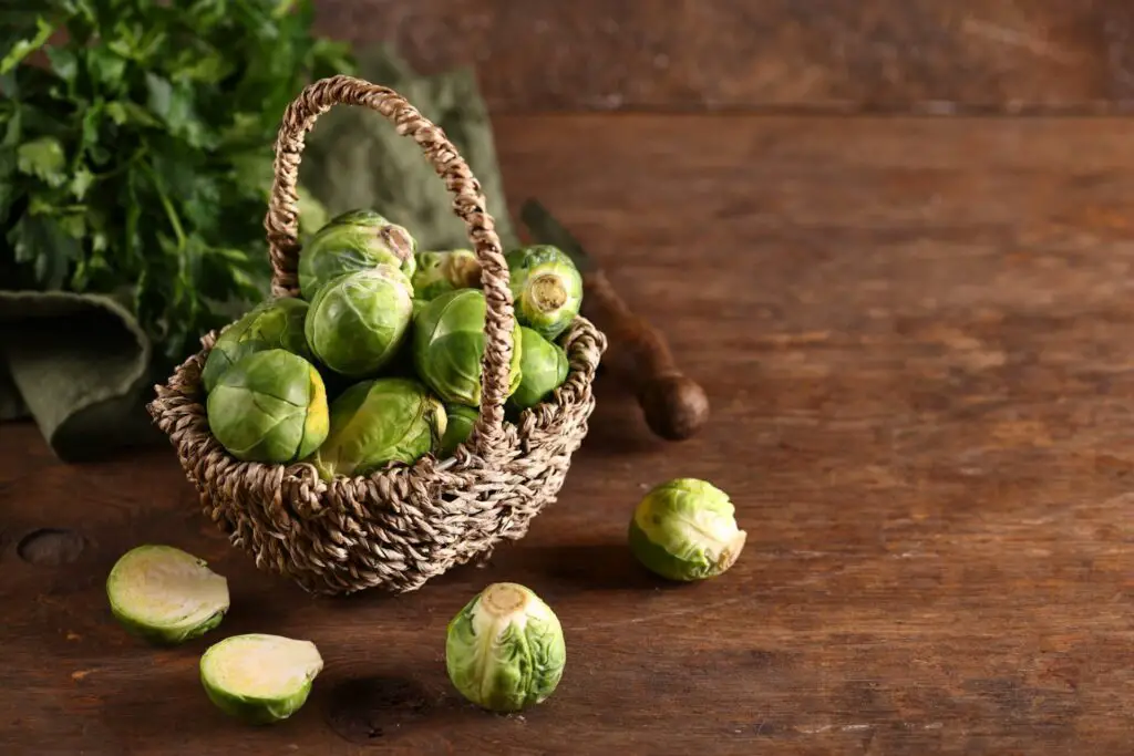 Roasted Brussels Sprouts With Cranberry And Balsamic Glaze: A Delightful Twist On A Classic Side Dish 7 Fresh organic food vegetable brussels sprouts