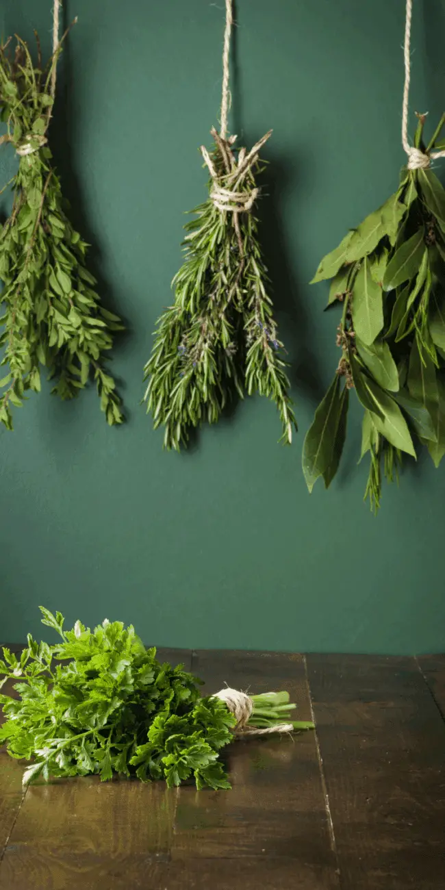 How to store and dry herbs