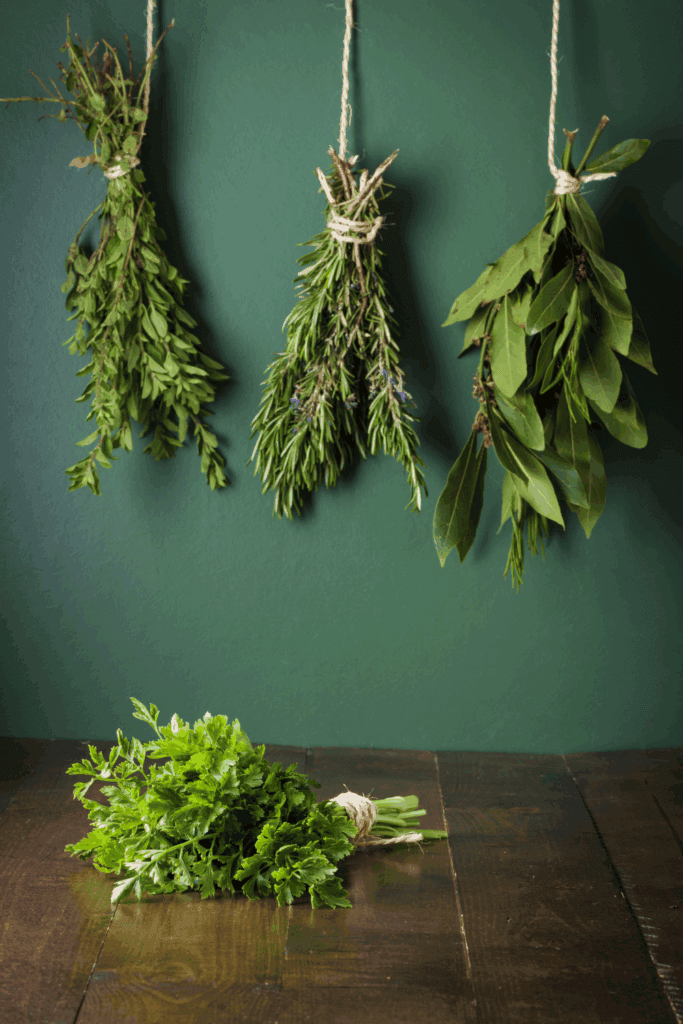 How to store and dry herbs