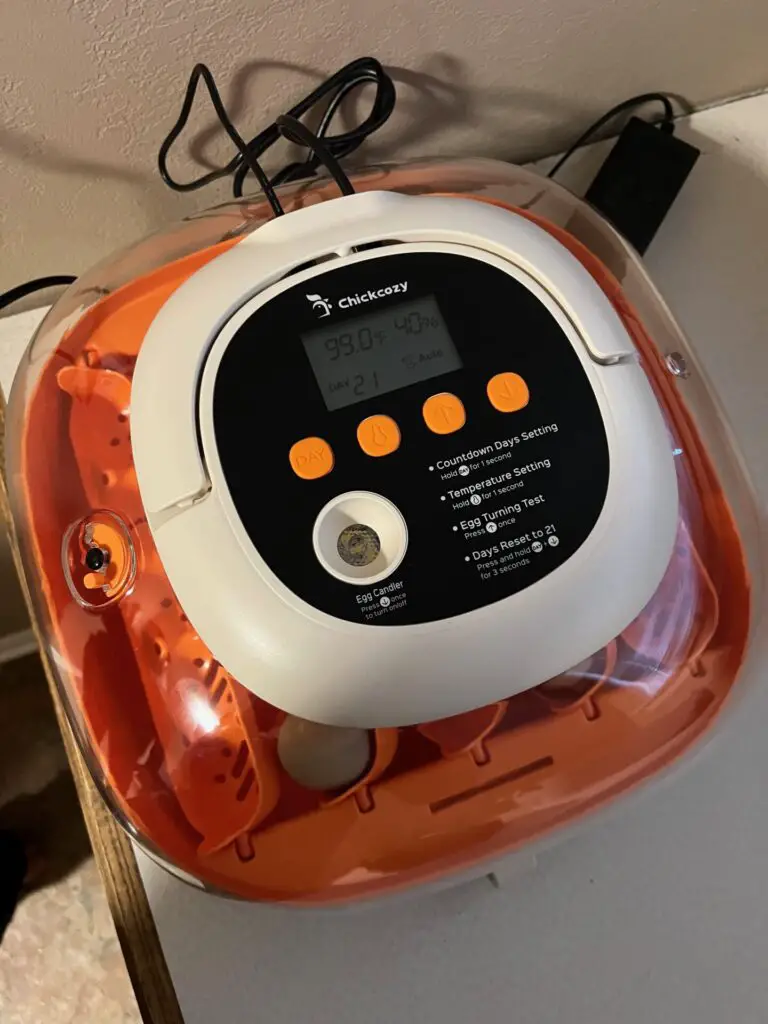 Chickcozy egg incubator