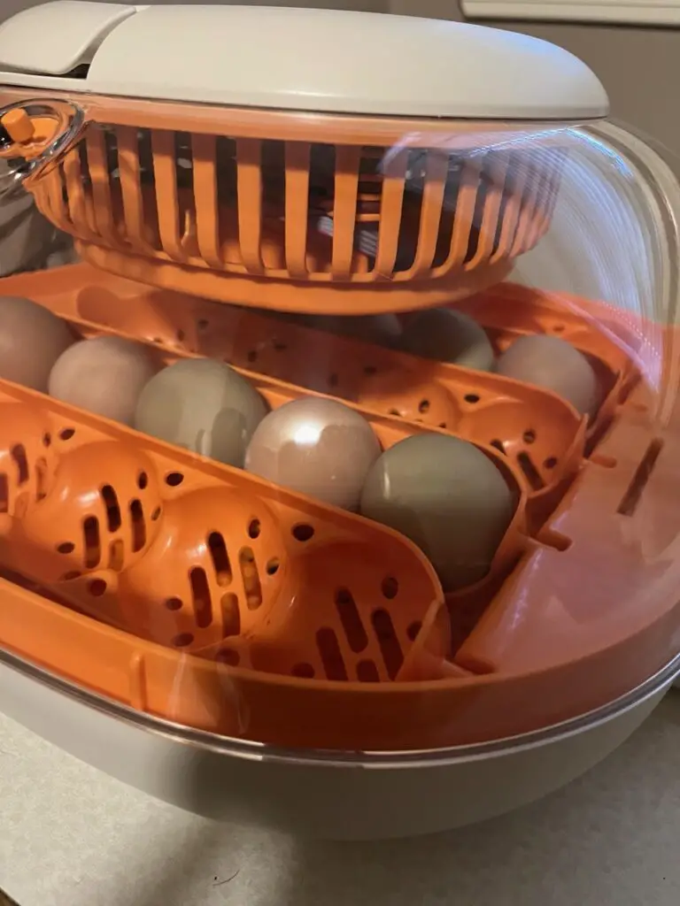 Chickcozy egg incubator