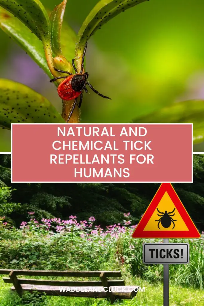 Natural And Chemical Tick Repellent For Humans 1 Natural and chemical tick repellent for humans