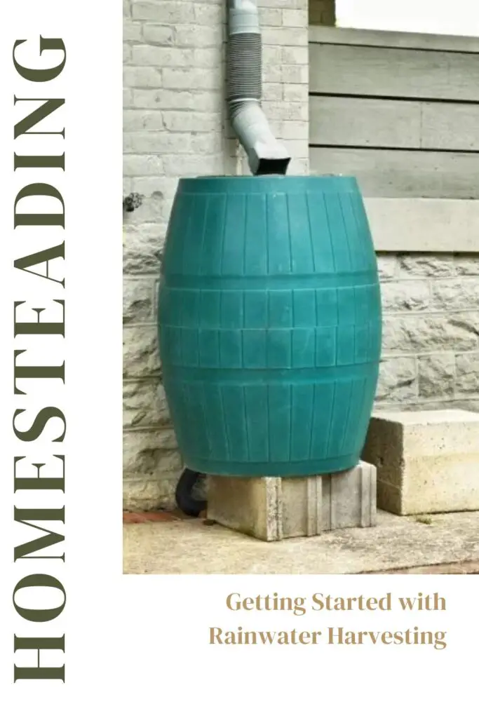 Rainwater harvesting
