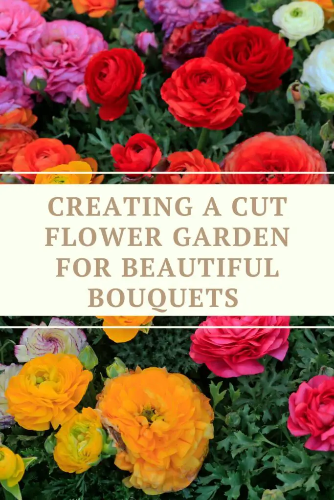 Creating A Cut Flower Garden For Beautiful Bouquets All Year Round 1 Creating a cut flower garden for beautiful bouquets all year round