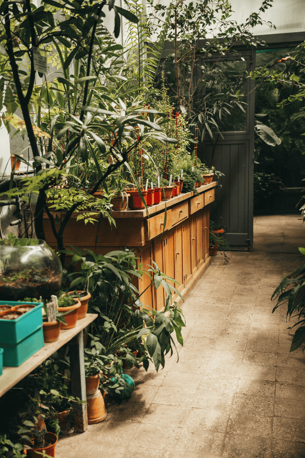 Gardening in partial of full shade
