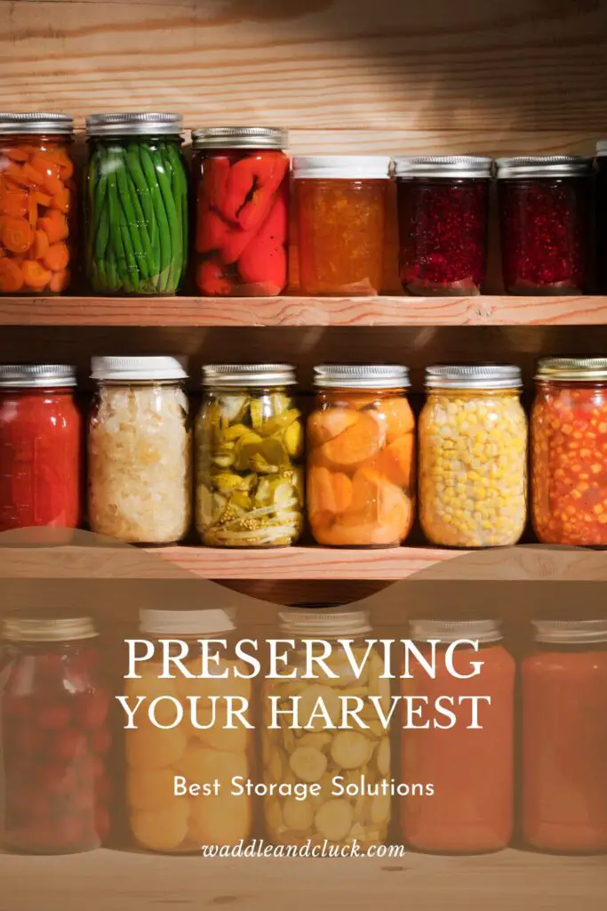 Best Storage Solutions For Preserving Your Harvest 12 Best storage solutions for preserving your harvest