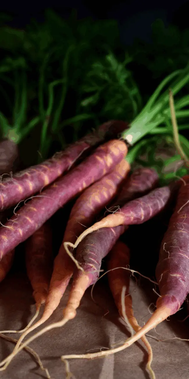 Growing heirloom vegetables