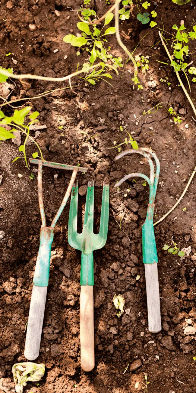Harvest tools
