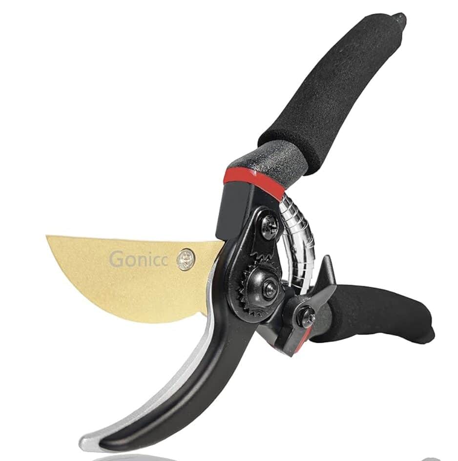 Harvesting Tools And Equipment For The Autumn Garden: What To Buy 2 Pruning shears harvest tools