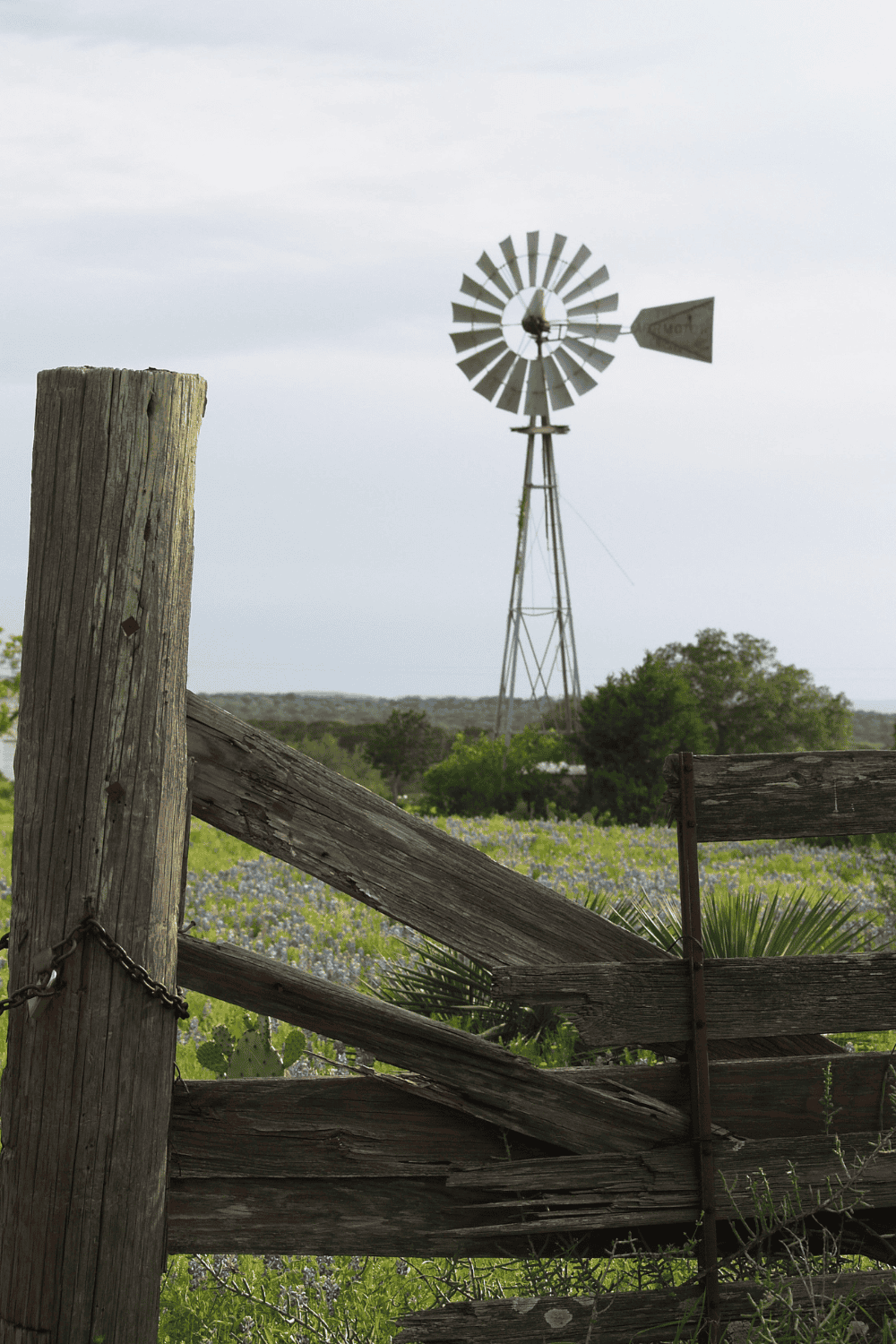 Year-round homesteading