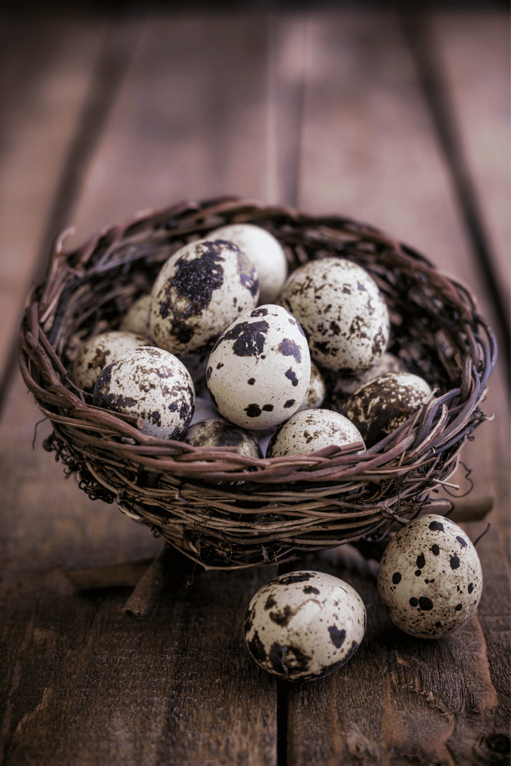 Exploring The Edibility And Nutritional Value Of Fertilized Quail Eggs