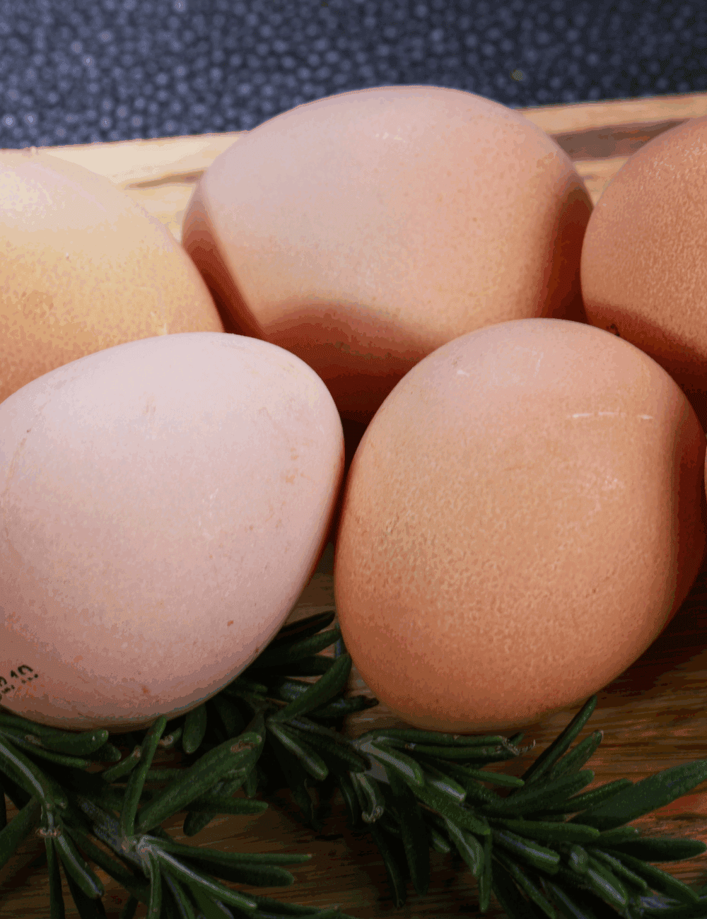 When do guineas start laying eggs