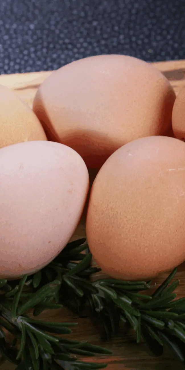 When do guineas start laying eggs