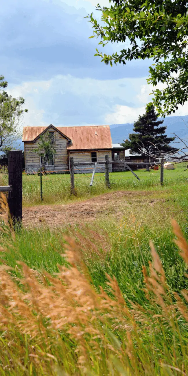Why i started homesteading
