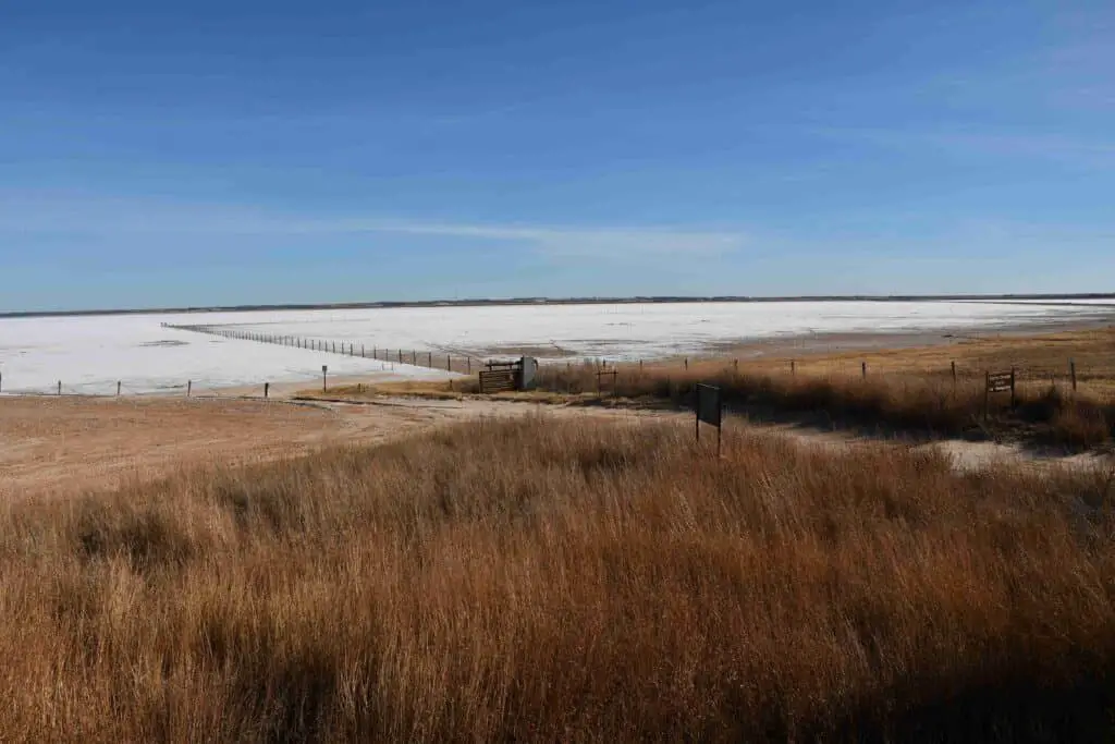 Selenite In The Salt: Digging For Crystals On Oklahoma’s Otherworldly Plains 2 Salt plains national wildlife rescue