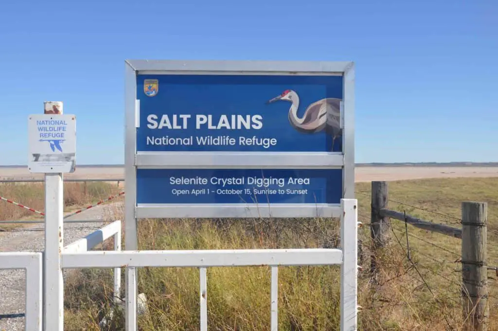 Selenite In The Salt: Digging For Crystals On Oklahoma’s Otherworldly Plains 1 Salt plains national wildlife rescue