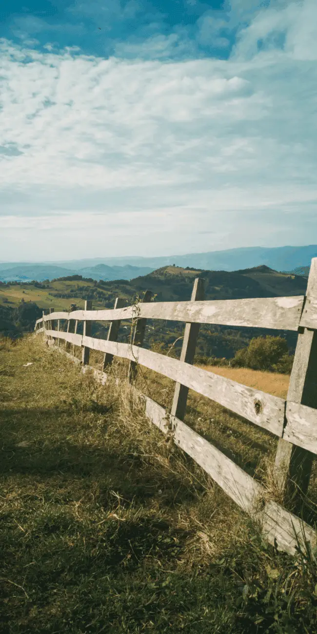 Slowing down