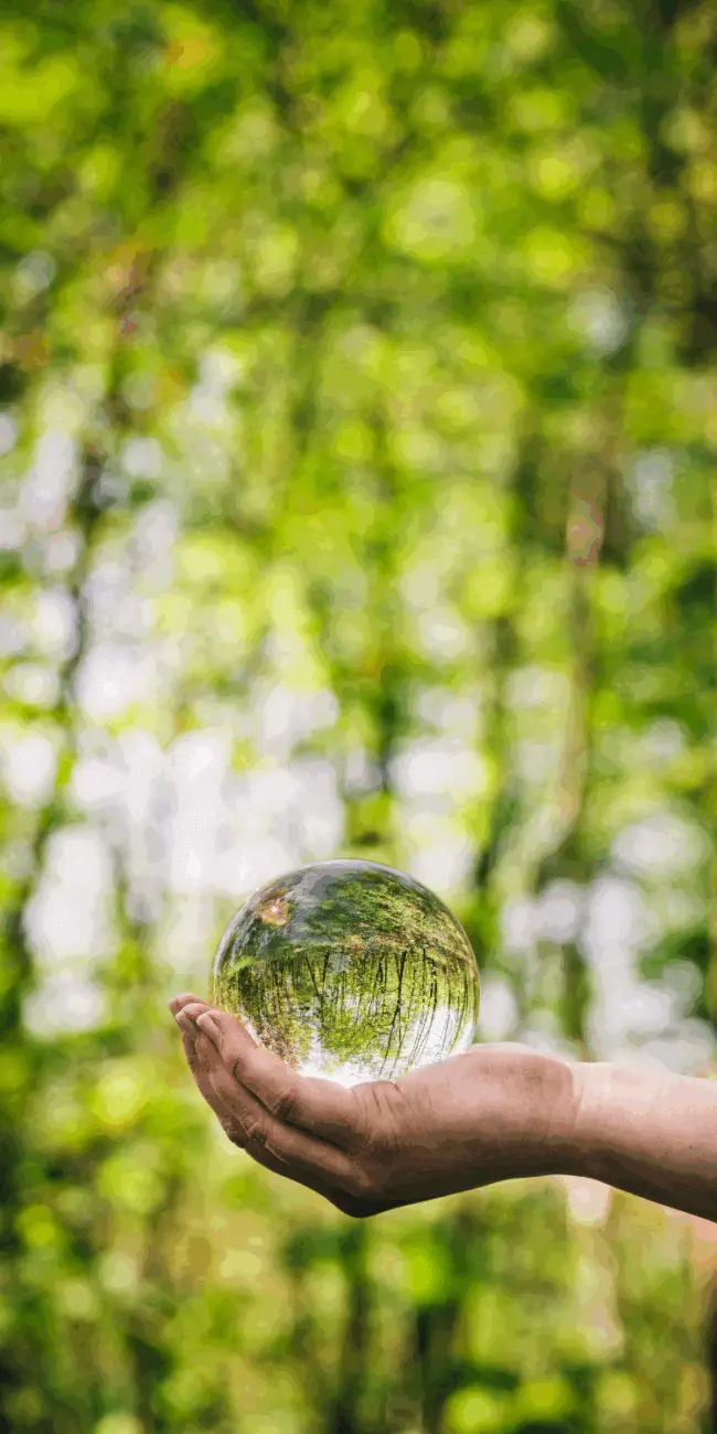 Green living