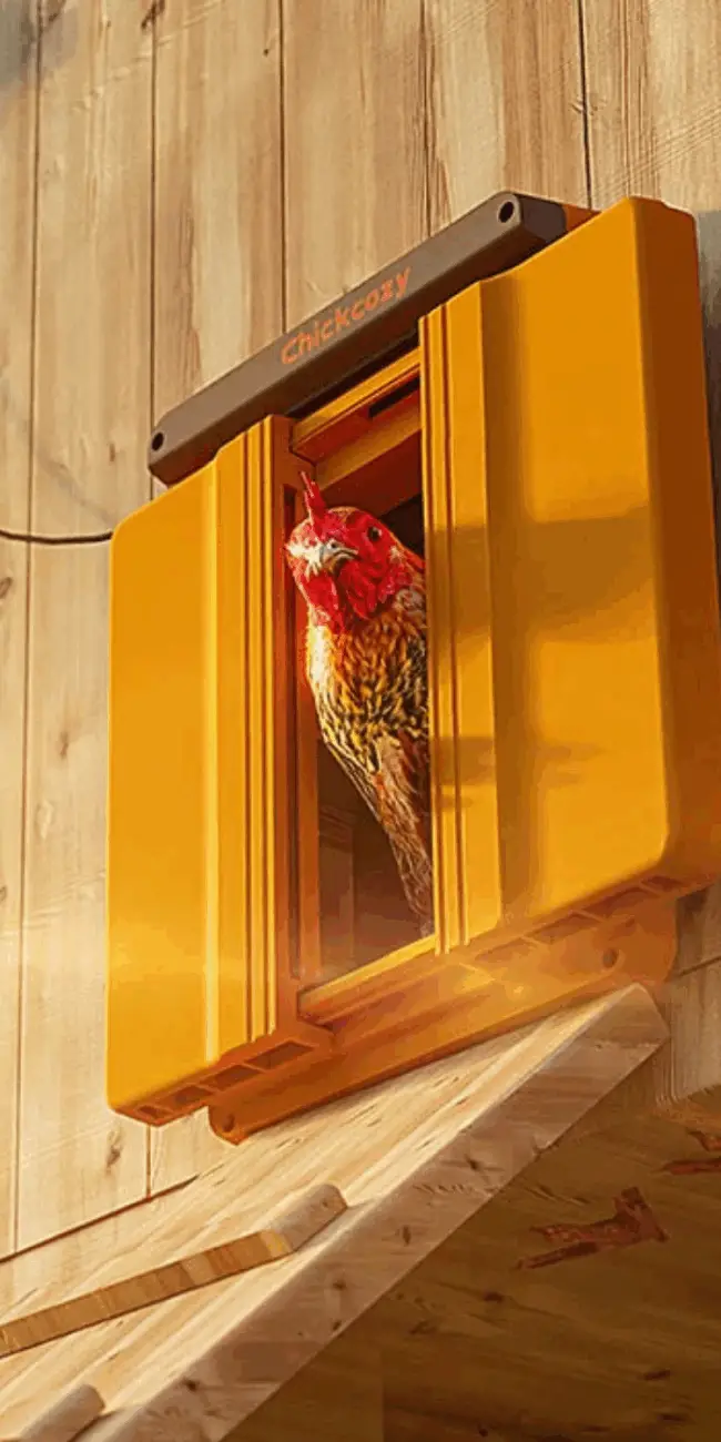 Solar Automatic Chicken Door