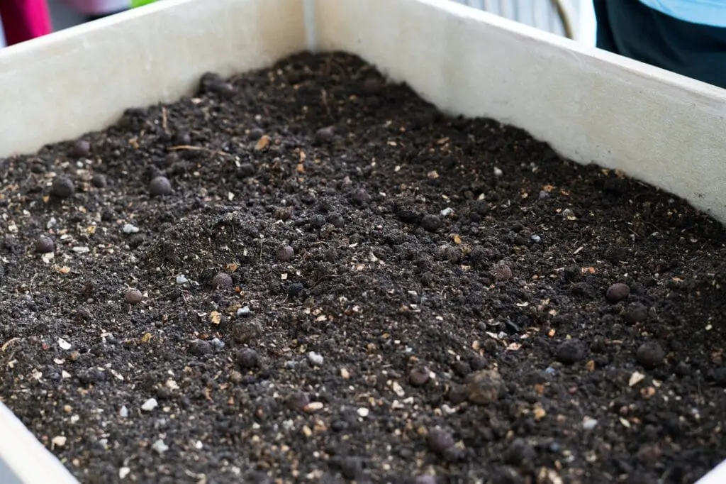 Tiered Garden Planters For Small-Space Harvests 3 Soil in a wooden planter box.