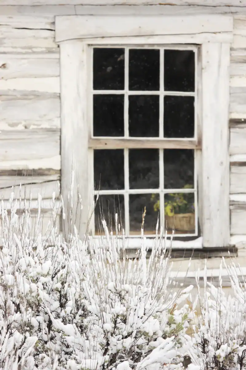 Rustic farmhouse window with frosted snow-covered plants in front, wooden exterior, winter scene, cozy rural home decor, vintage style, outdoor winter landscape.