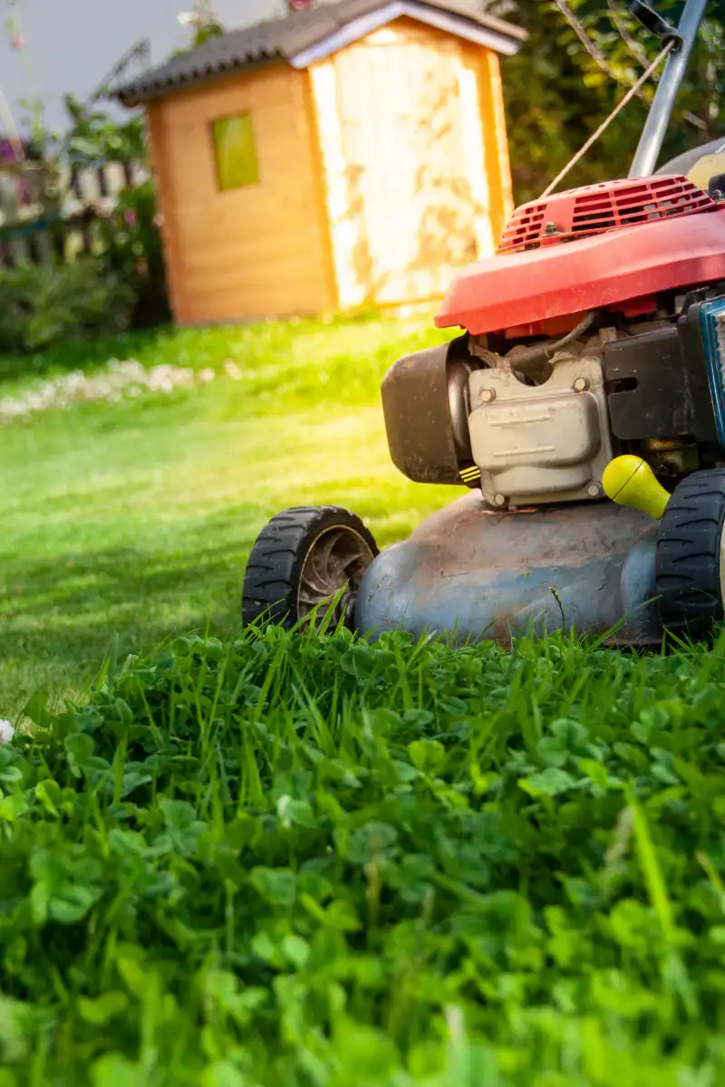 Lawn mower cutting grass in a backyard garden with a wooden shed in the background, showcasing gardening tools and outdoor yard maintenance equipment. Perfect for outdoor gardening, lawn care, and backyard landscaping ideas.