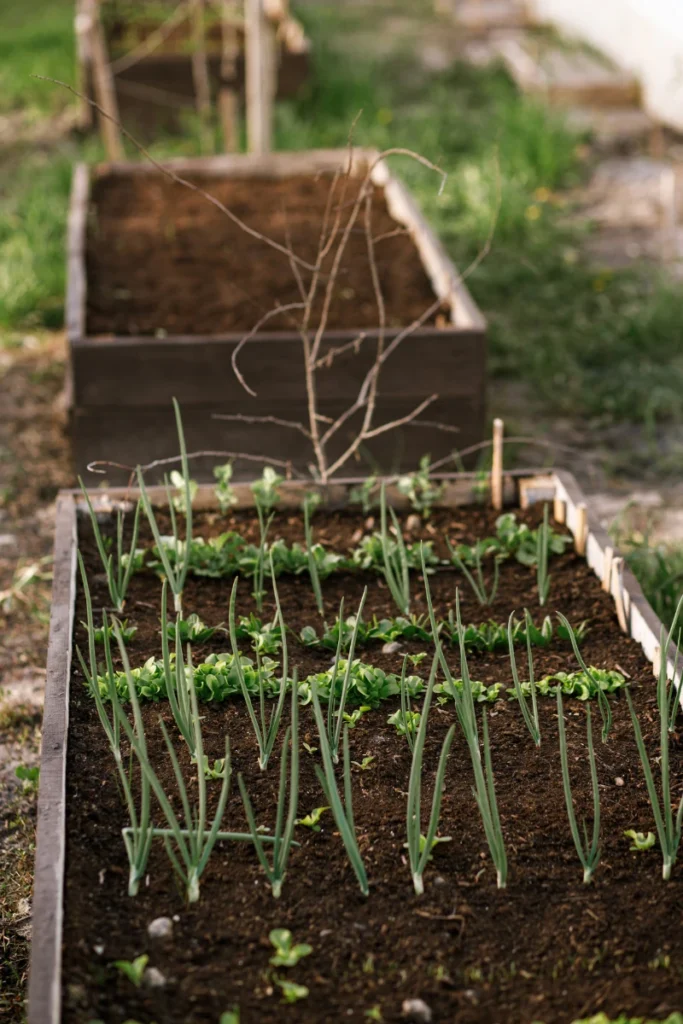 A clear look at what to do on the homestead each month so you can stay ahead of chores, plan with the seasons, and keep the work steady instead of stressful.