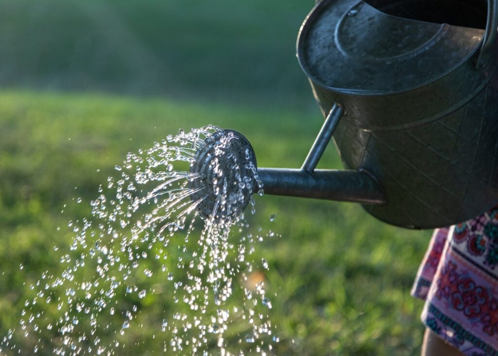Water pouring on gray steel watering can