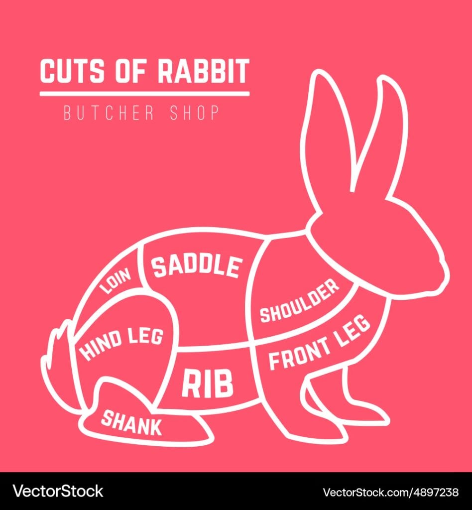 Raising Meat Rabbits: A Realistic Breakdown Of Expenses And Labor 3 Cuts of rabbit